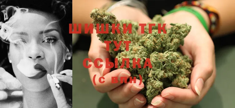 купить закладку  Норильск  Конопля SATIVA & INDICA 